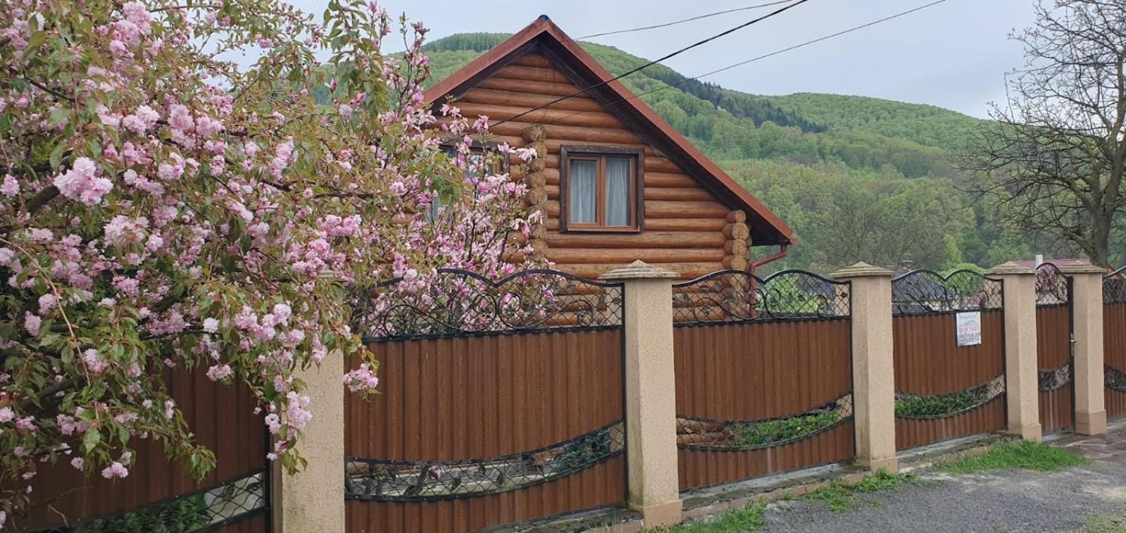 Smerekovyi Dvir Polyana  Dış mekan fotoğraf